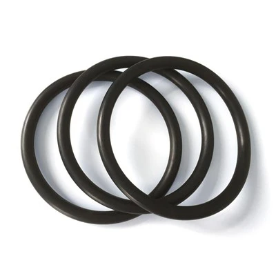 O-ring FEPM